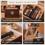 Renzo Glass Top Humidor — Klaro by Case Elegance